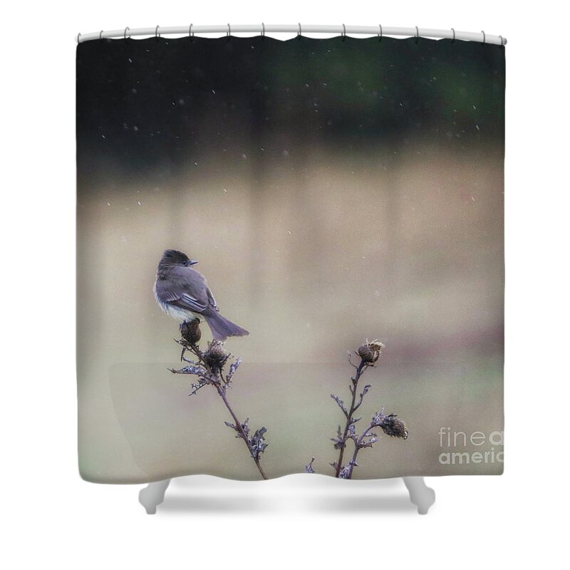 Rain Shower Curtain featuring the photograph April Showers by Elizabeth Winter