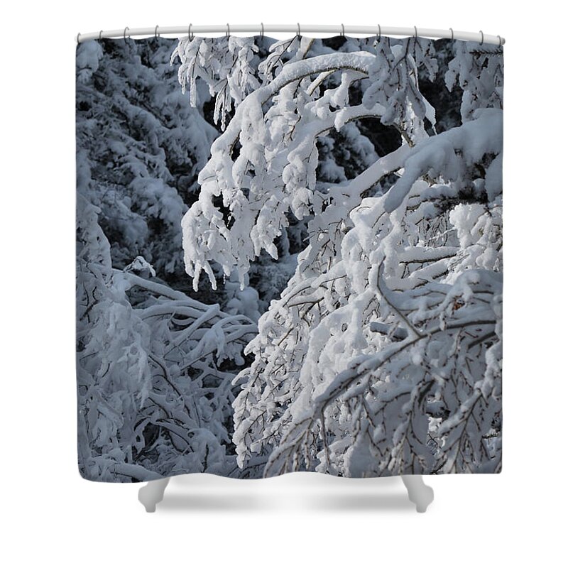Landscape Shower Curtain featuring the photograph April Snow by Ron Cline