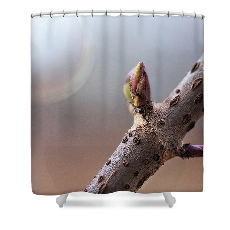 Nature Abstract Shower Curtain featuring the photograph April Sun by Sue Capuano