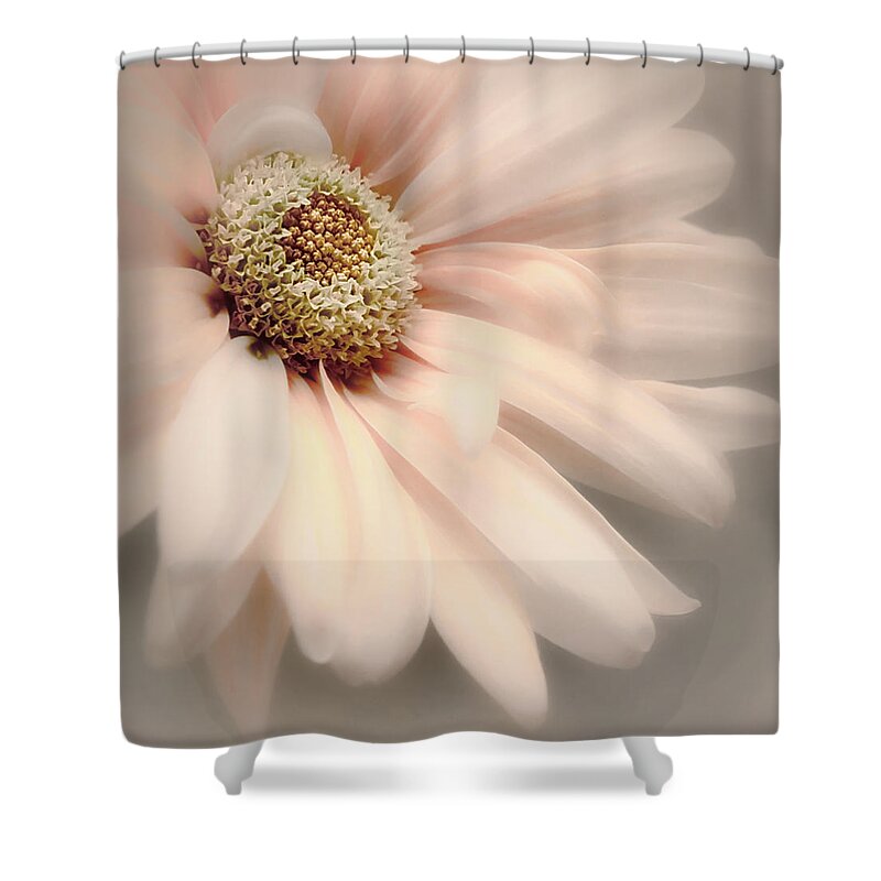 Flower Shower Curtain featuring the photograph Arabesque in Peach Glow by Darlene Kwiatkowski