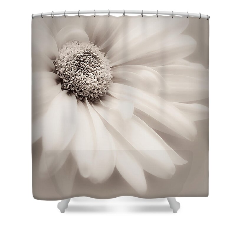 Flower Shower Curtain featuring the photograph Arabesque in Soft Charcoal by Darlene Kwiatkowski