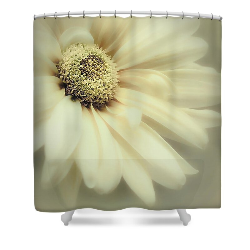 Flower Shower Curtain featuring the photograph Arabesque in Soft Moss by Darlene Kwiatkowski