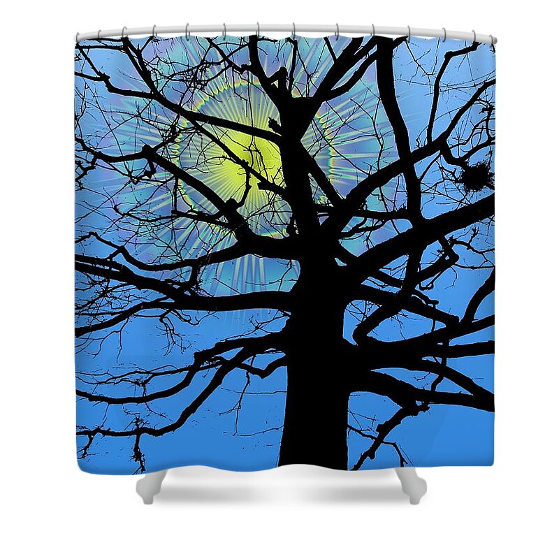 Tree Shower Curtain featuring the digital art Arboreal Sun by Tim Allen