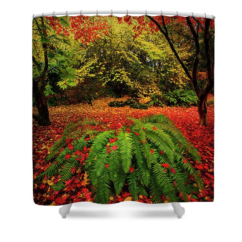 Seattle Shower Curtain featuring the photograph Arboretum Primary Colors by Dan Mihai