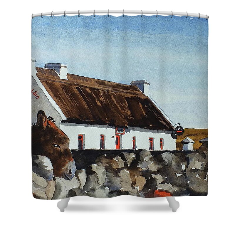Valbyrne Shower Curtain featuring the painting Are you going for a Pint in Rossaveal, Connemara. by Val Byrne
