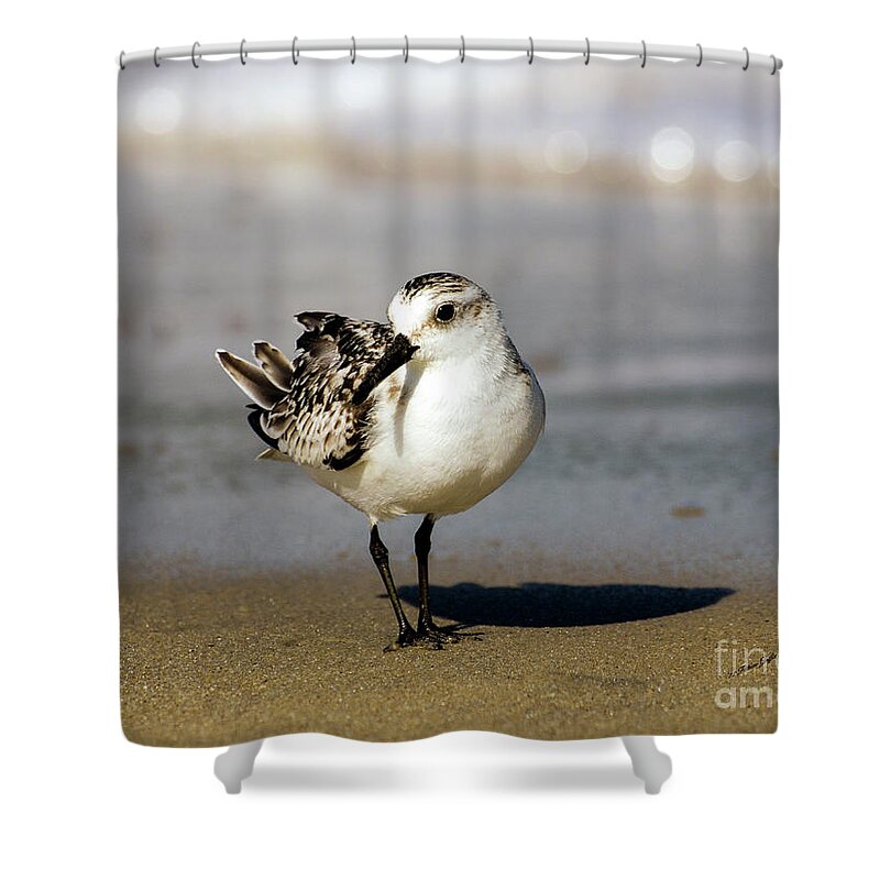 Fine Art Photography Shower Curtain featuring the photograph Aren't I Pretty? by Patricia Griffin Brett