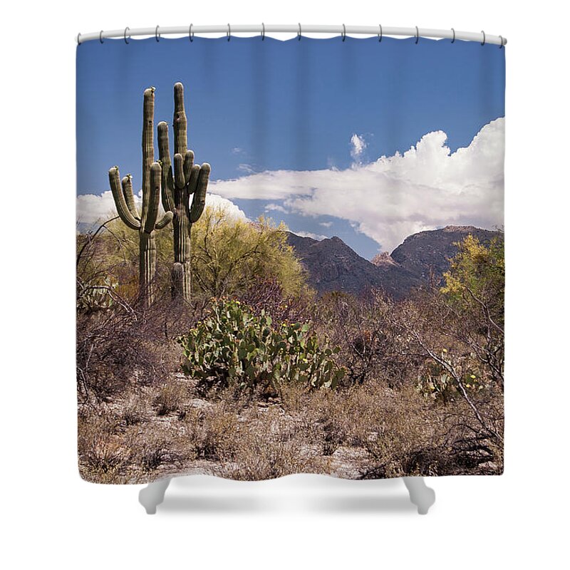 Arizona Shower Curtain featuring the photograph Arizona Desert by David Palmer