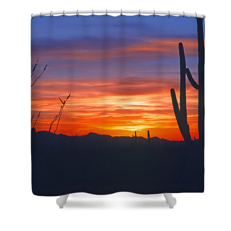 Usa Shower Curtain featuring the photograph Arizona desert sunset by Gary Corbett