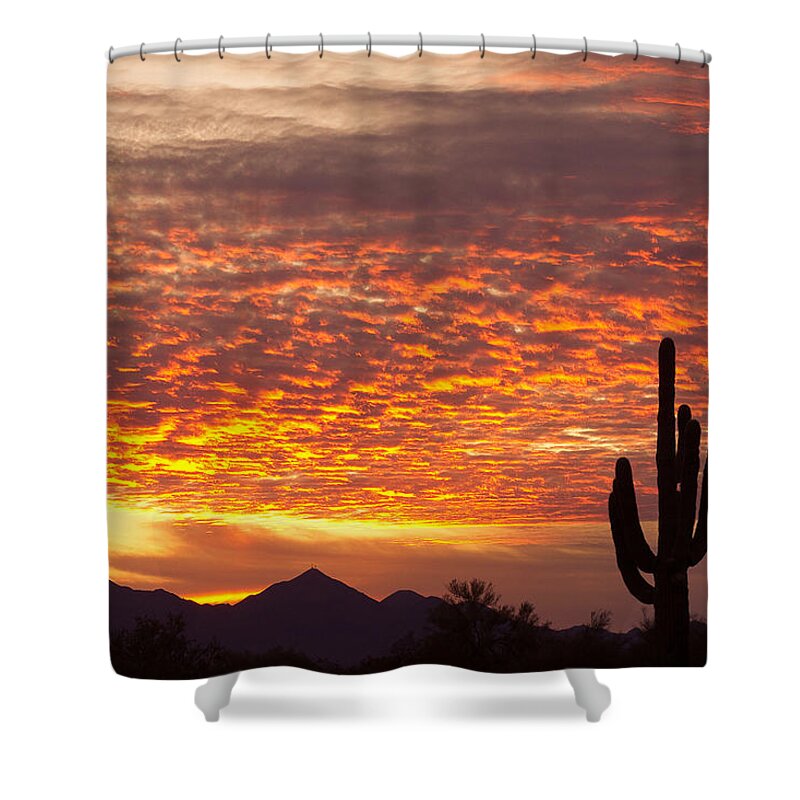 Arizona Shower Curtain featuring the photograph Arizona November Sunrise With Saguaro  by James BO Insogna