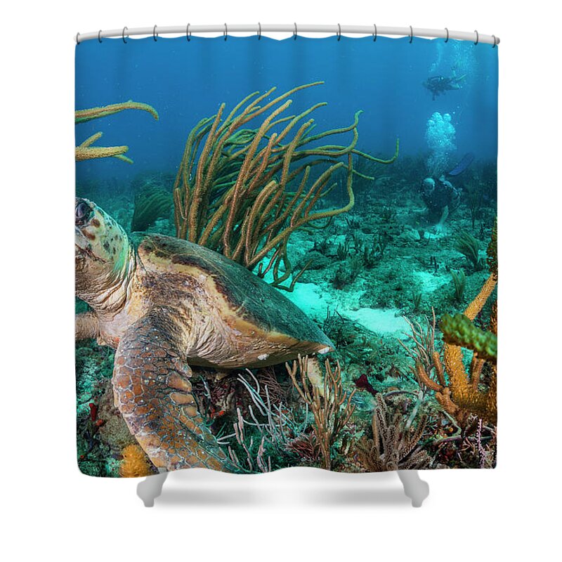 Scene Shower Curtain featuring the photograph Around Me by Sandra Edwards