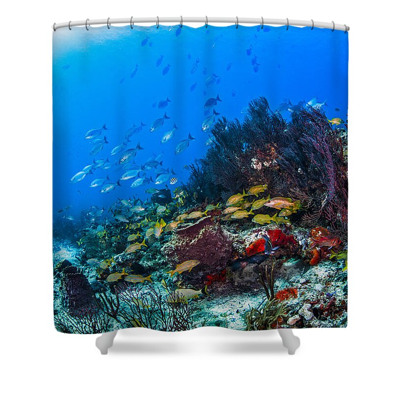Beach Shower Curtain featuring the photograph Art By Nature by Sandra Edwards