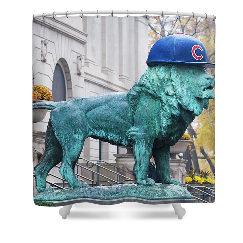 Cubs Shower Curtain featuring the photograph Art Institute Cubs Fan by Patty Colabuono