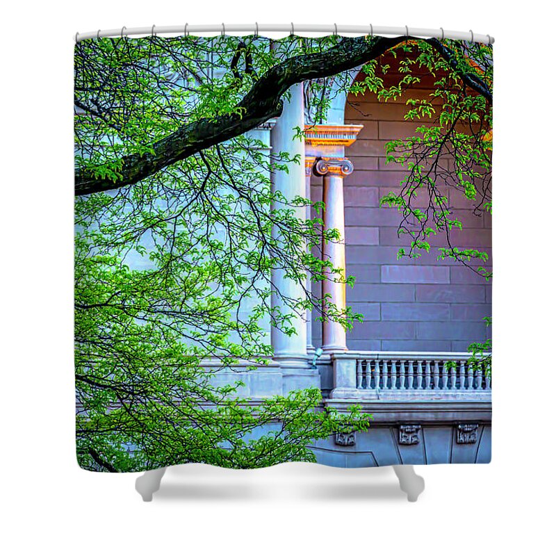 Architecture Shower Curtain featuring the photograph Art Institute of Chicago South Garden v2 DSC4581 by Raymond Kunst