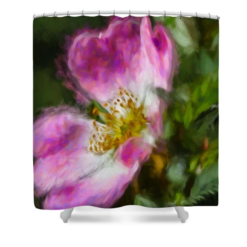 Artistic Shower Curtain featuring the photograph Artistic Dogrose 2 by Leif Sohlman