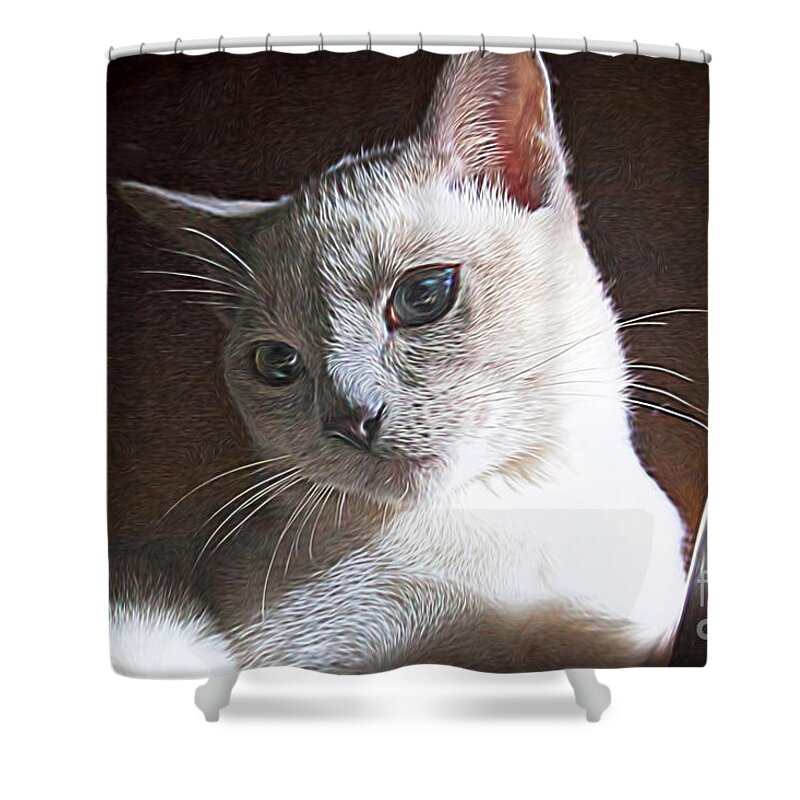 Animal Shower Curtain featuring the photograph Artistic Kitty by Linda Phelps