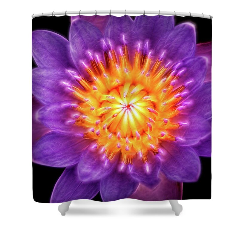 Flower Shower Curtain featuring the photograph Artistic Lily at Lily Pons by Don Johnson