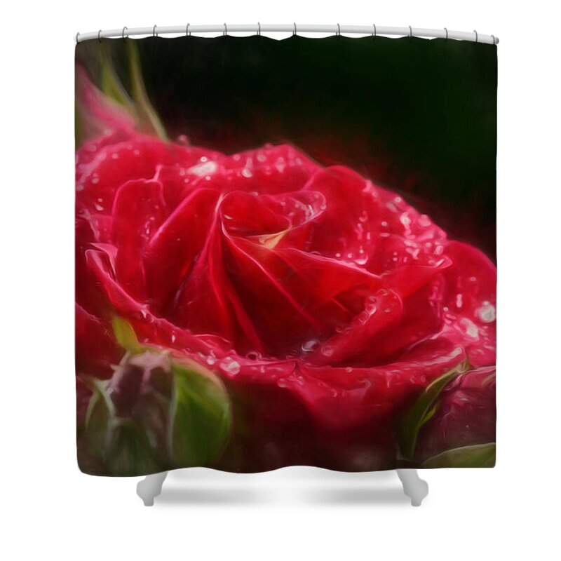 Artistic Shower Curtain featuring the photograph Artistic rose after rain by Leif Sohlman