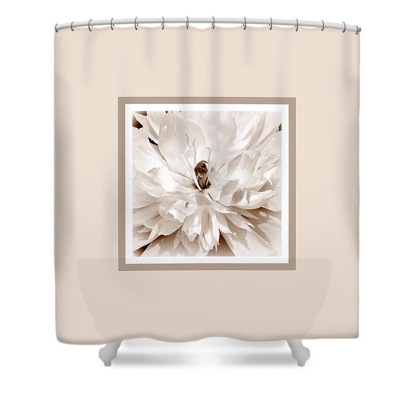 Art Shower Curtain featuring the photograph White Peony I Sepia by Joan Han