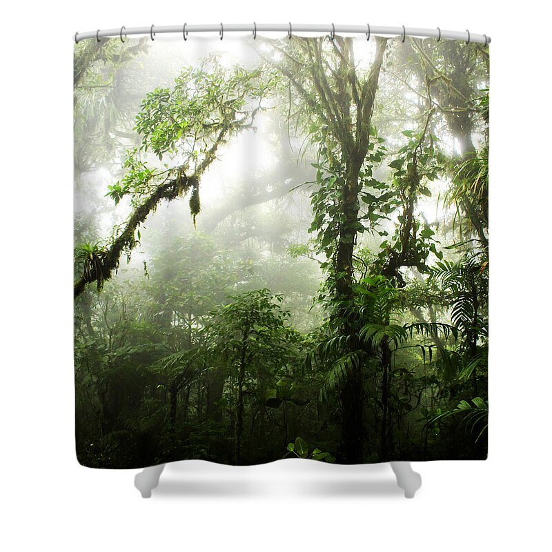 Forest Shower Curtain featuring the photograph Cloud Forest by Nicklas Gustafsson
