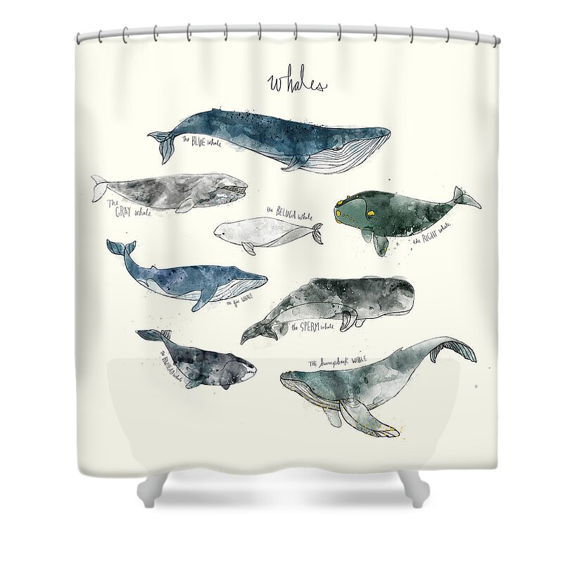 whale shower curtain black and white