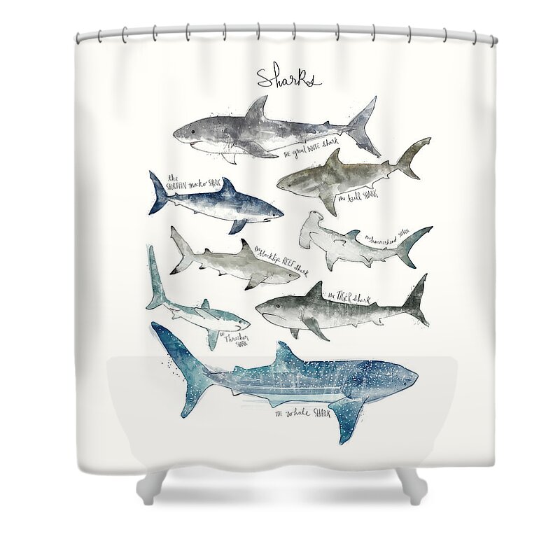 Sharks Shower Curtain featuring the painting Sharks by Amy Hamilton