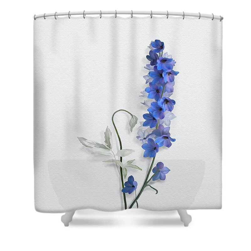 Blue Shower Curtain featuring the painting Consolida by Ivana Westin