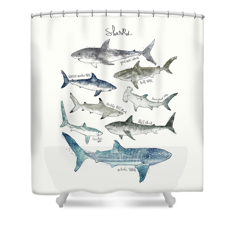 Sharks Shower Curtain featuring the painting Sharks - Landscape Format by Amy Hamilton