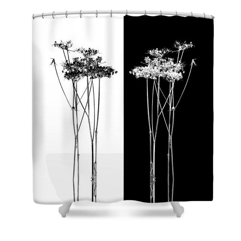 Photography By Paul Davenport Shower Curtain featuring the photograph Organic Enhancements 7 by Paul Davenport