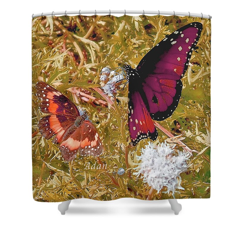 Butterflies Shower Curtain featuring the photograph The Beauty of Sharing - Gold by Felipe Adan Lerma