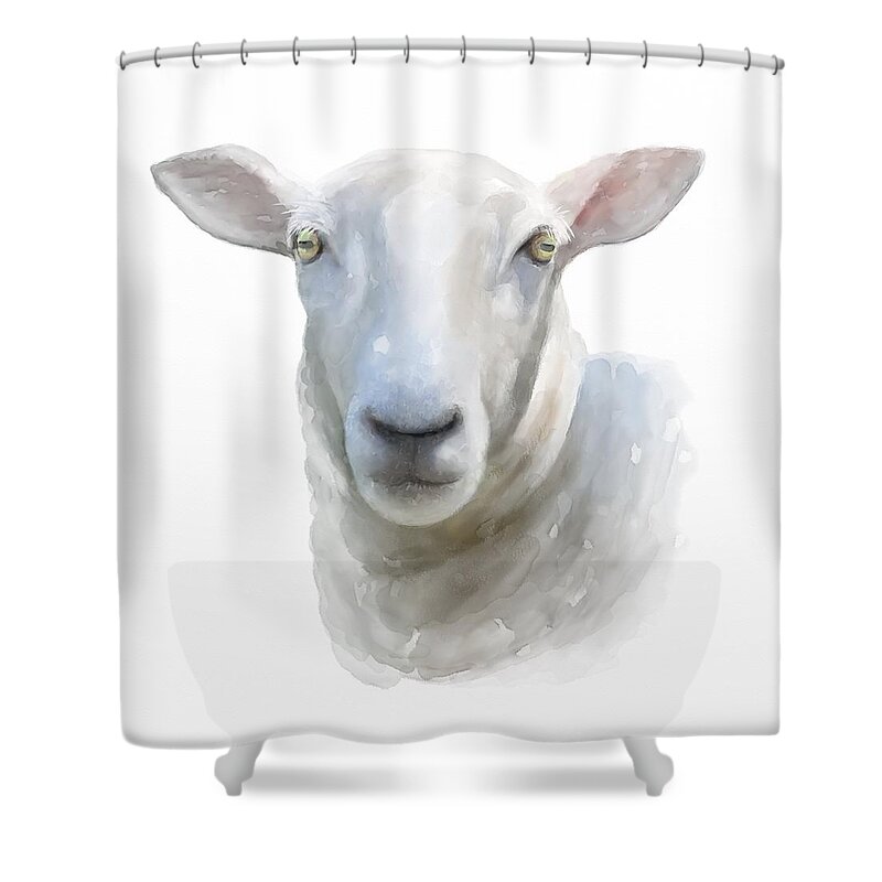 Sheep Shower Curtain featuring the painting Watercolor Sheep by Ivana Westin
