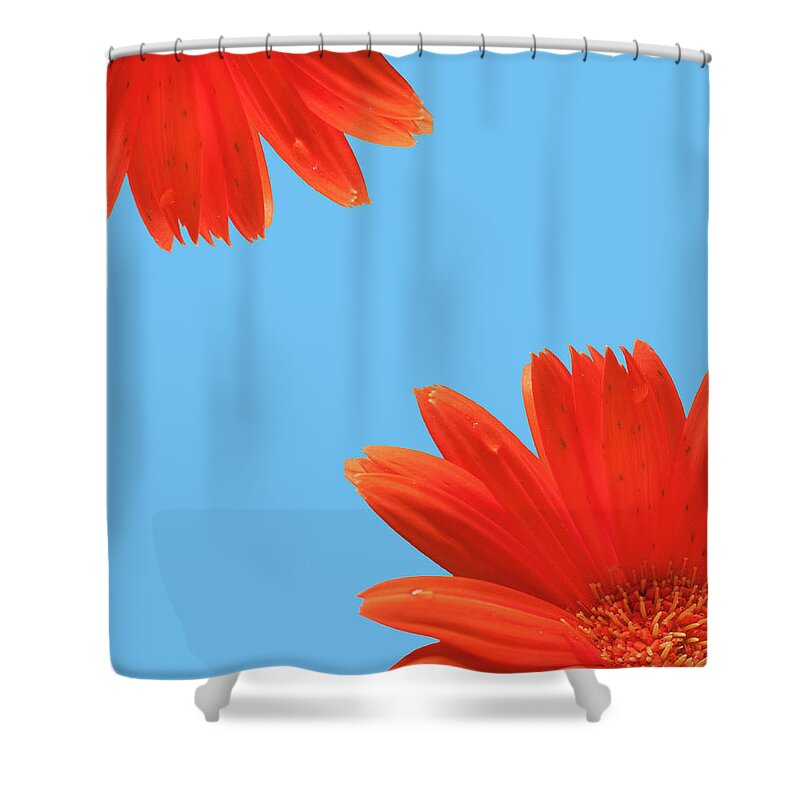 Spring Shower Curtain featuring the photograph Spring by Ana Prego