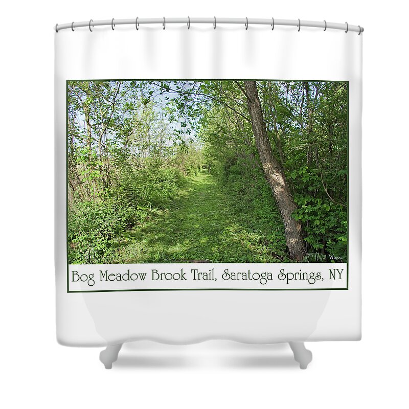 Lise Winne Shower Curtain featuring the photograph Bog Meadow Brook Trail by Lise Winne