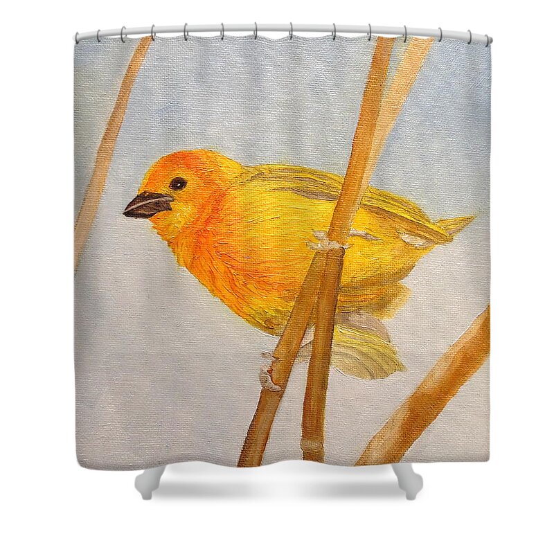 Saffron Finch Shower Curtain featuring the painting Saffron Finch by Angeles M Pomata