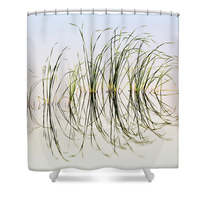 Bill Kesler Photography Shower Curtain featuring the photograph Graceful Grass by Bill Kesler
