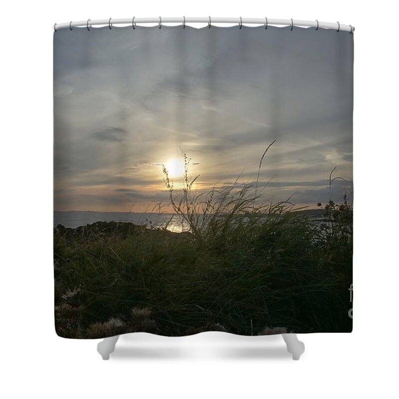 Setting Sun Shower Curtain featuring the photograph As grass under the sun by Elena Perelman