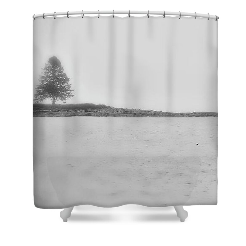 Coastal Shower Curtain featuring the photograph As I Look Out to Sea by Richard Bean