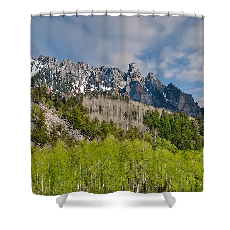 Aspen Shower Curtain featuring the photograph Aspen Grove Below the Ophir Needles by Jeff Goulden