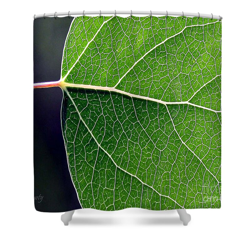 Aspen Leaf Veins Shower Curtain featuring the photograph Aspen Leaf Veins by Natalie Dowty