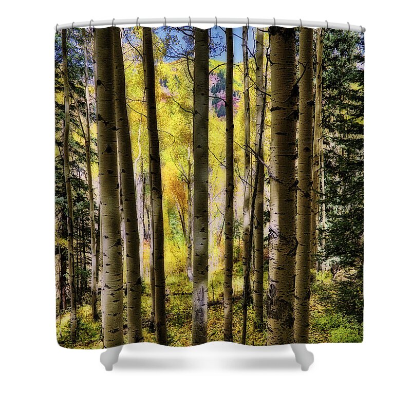 Colorful Colorado Shower Curtain featuring the photograph Aspen Mood - Autumn - Colorful Colorado by Jason Politte