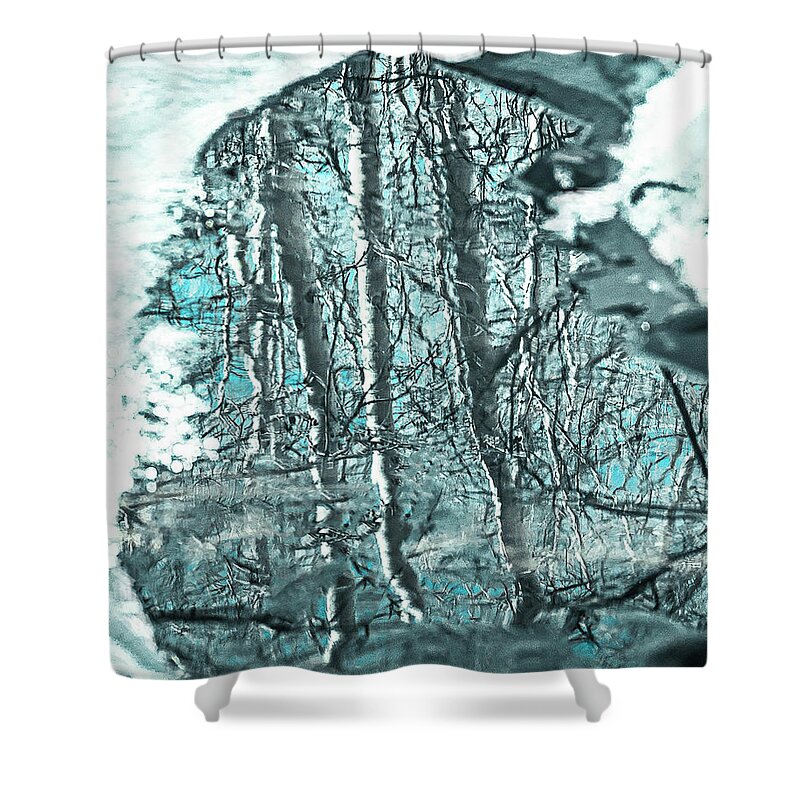 Aspen Shower Curtain featuring the photograph Aspen Reflection by L J Oakes