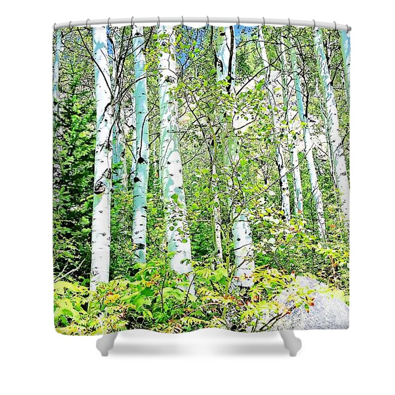 United States Shower Curtain featuring the photograph Aspen Splender Steamboat Springs by Joseph Hendrix
