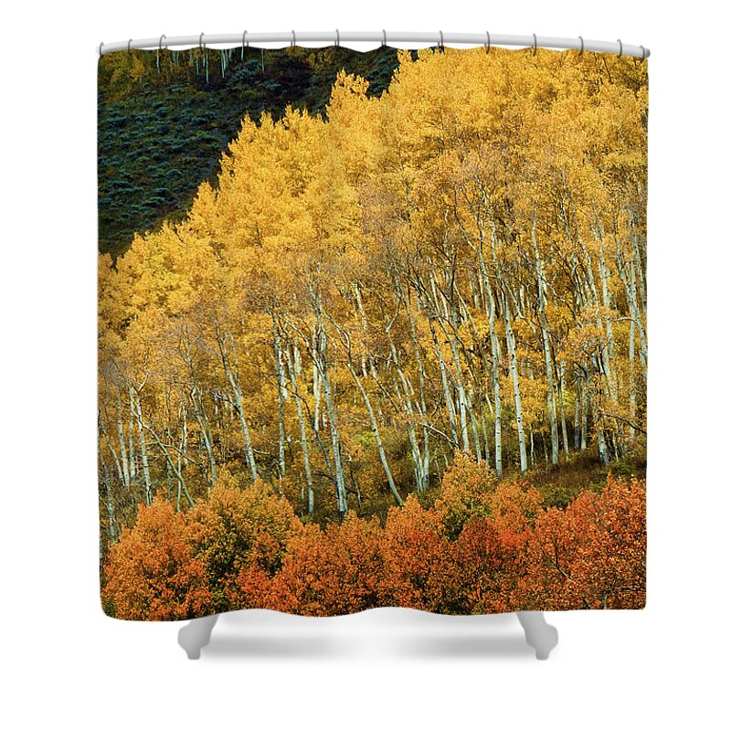 On A Colorado Mountainside Shower Curtain featuring the photograph Aspen Waves by Dana Sohr