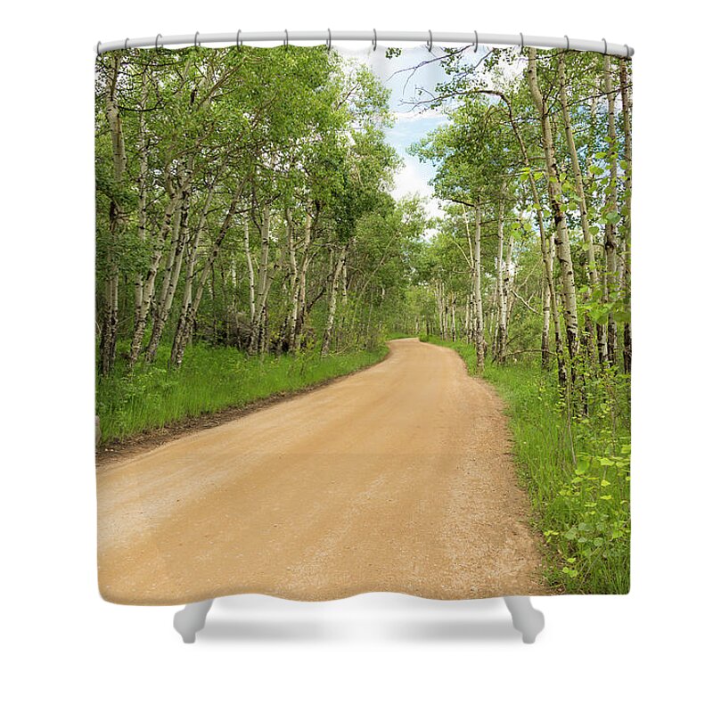 Aspen Trees Shower Curtain featuring the photograph Dirt Road With Aspen Trees by Tom Potter