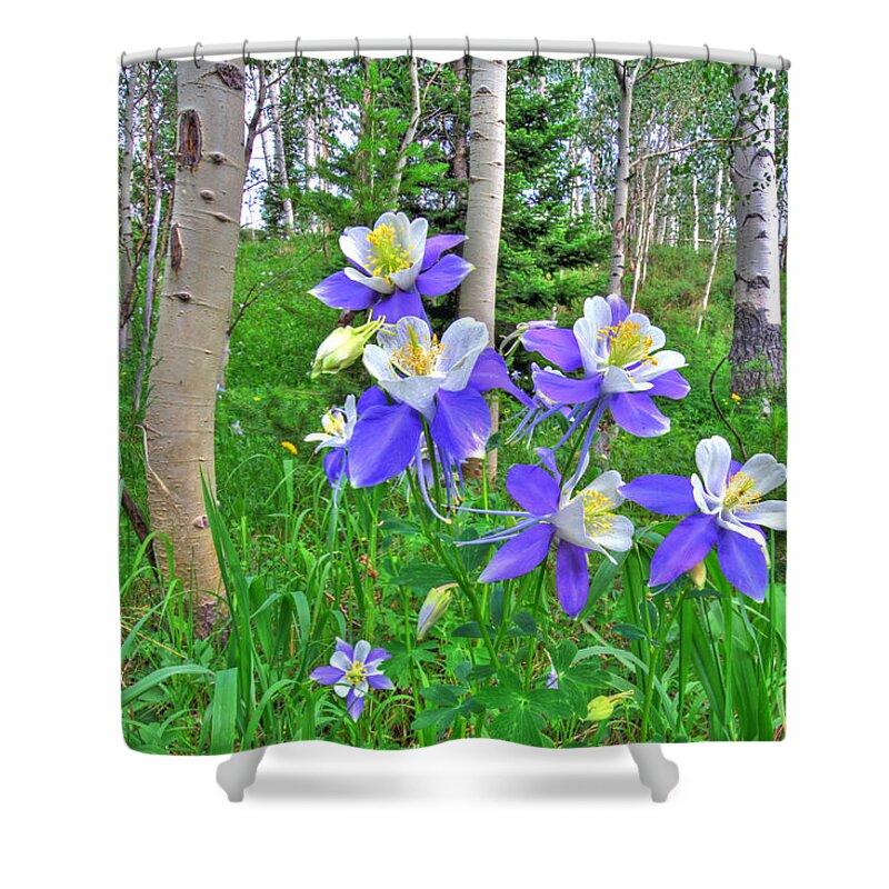 Aspen Shower Curtain featuring the photograph Aspens and Columbines by Scott Mahon
