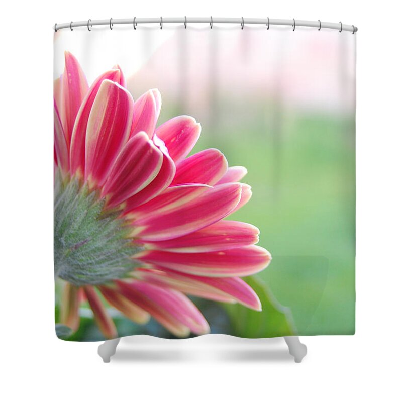 Flower Shower Curtain featuring the photograph Aspiring by Amy Fose