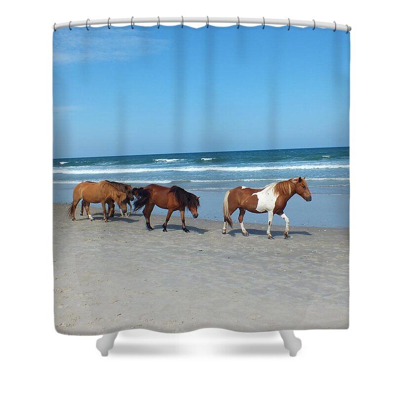 Animal Shower Curtain featuring the photograph Assateague 2 by Kimmary MacLean