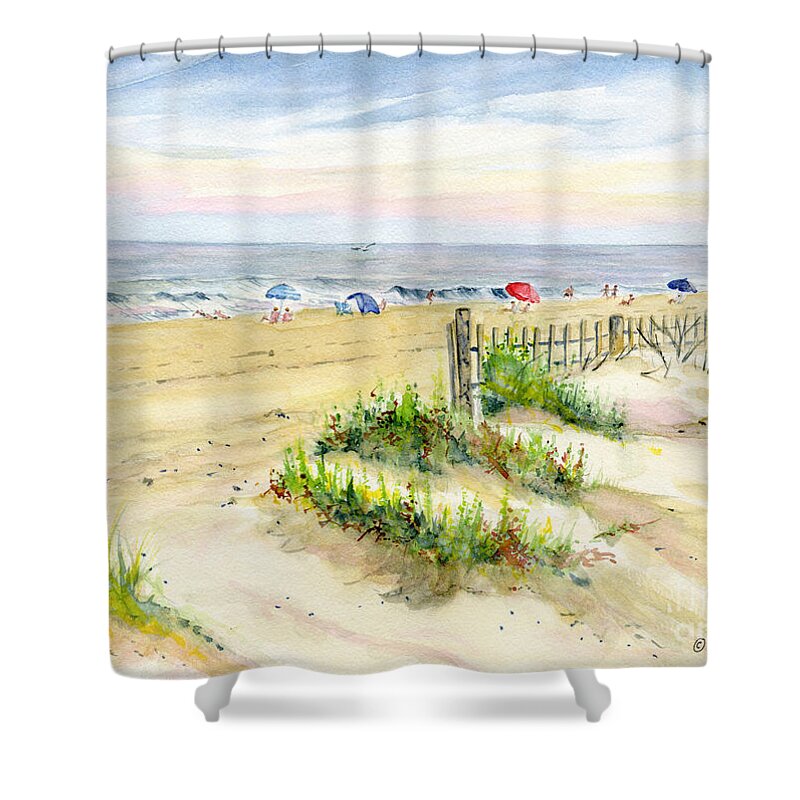 Assateague Island Shower Curtain featuring the painting Assateague Afternoon by Melly Terpening
