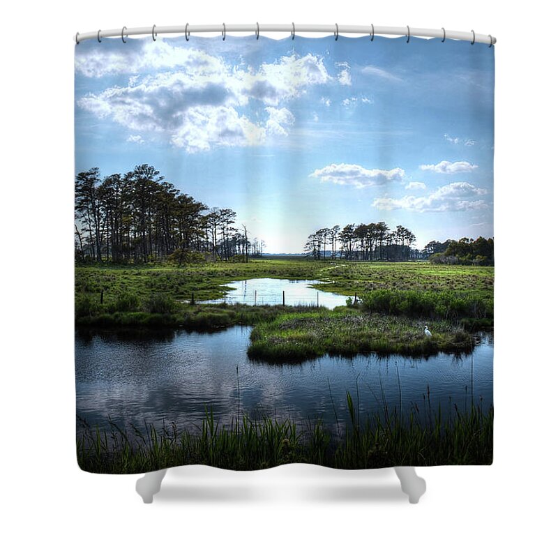 Chincoteague And Assateague Shower Curtain featuring the photograph Assateague Island by Ronda Ryan