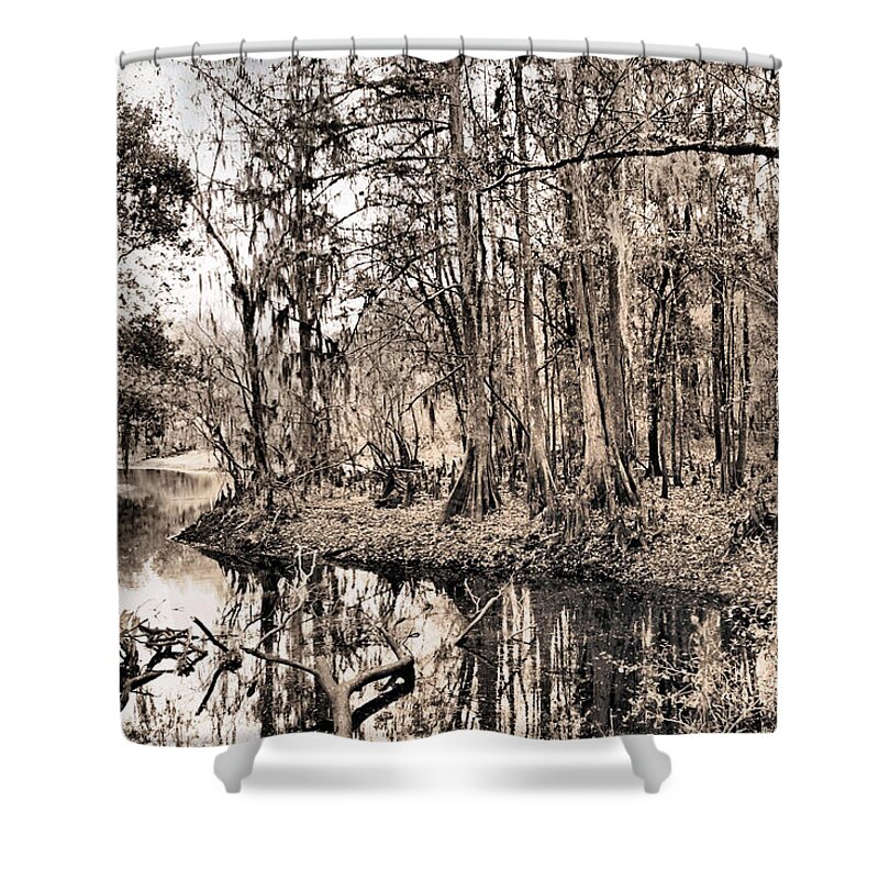 Swamp Shower Curtain featuring the photograph At Swamps Edge by Kristin Elmquist