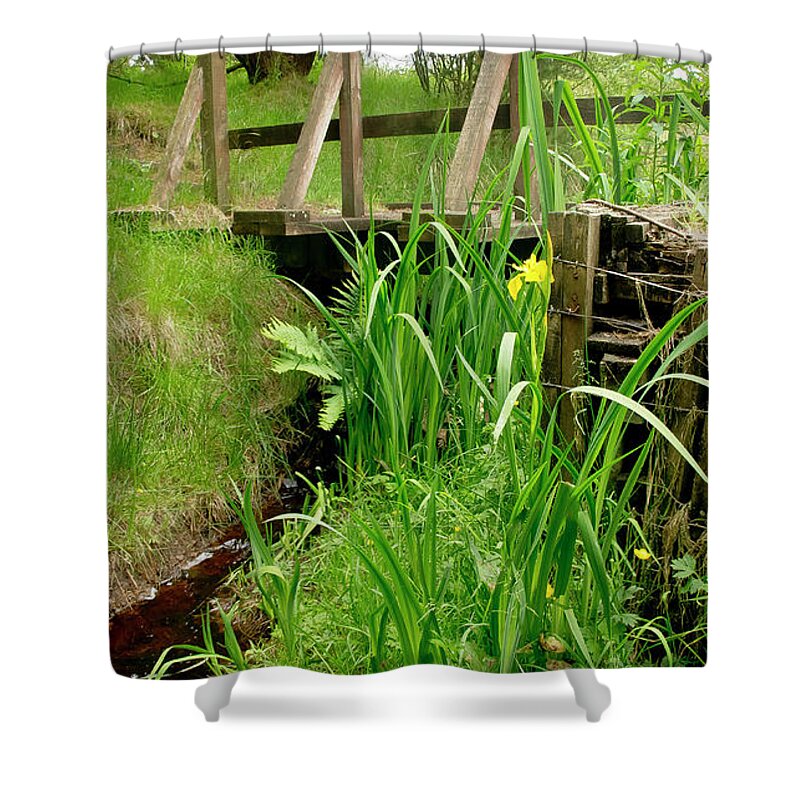 Scotland Shower Curtain featuring the photograph At the Bridge over forest brook by Elena Perelman